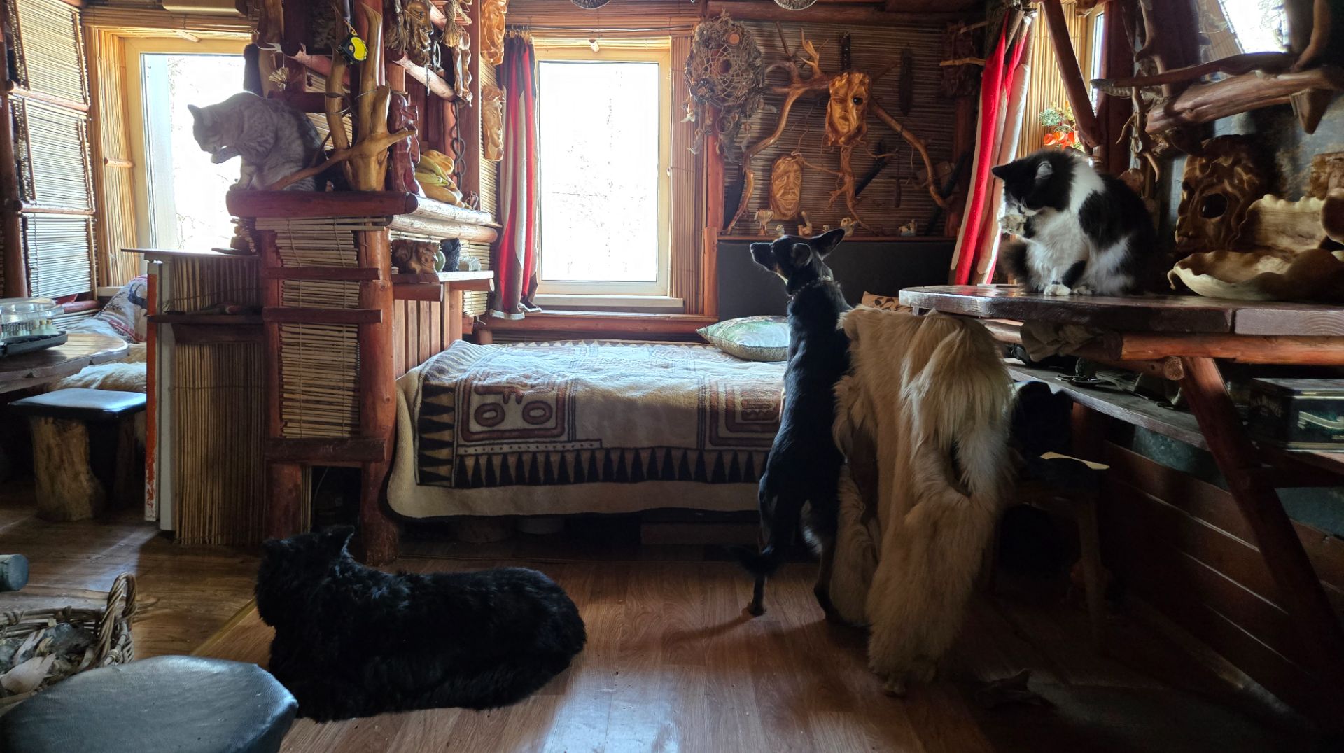 Февральский мороз, тепло родного дома и говорящая собака смотреть онлайн