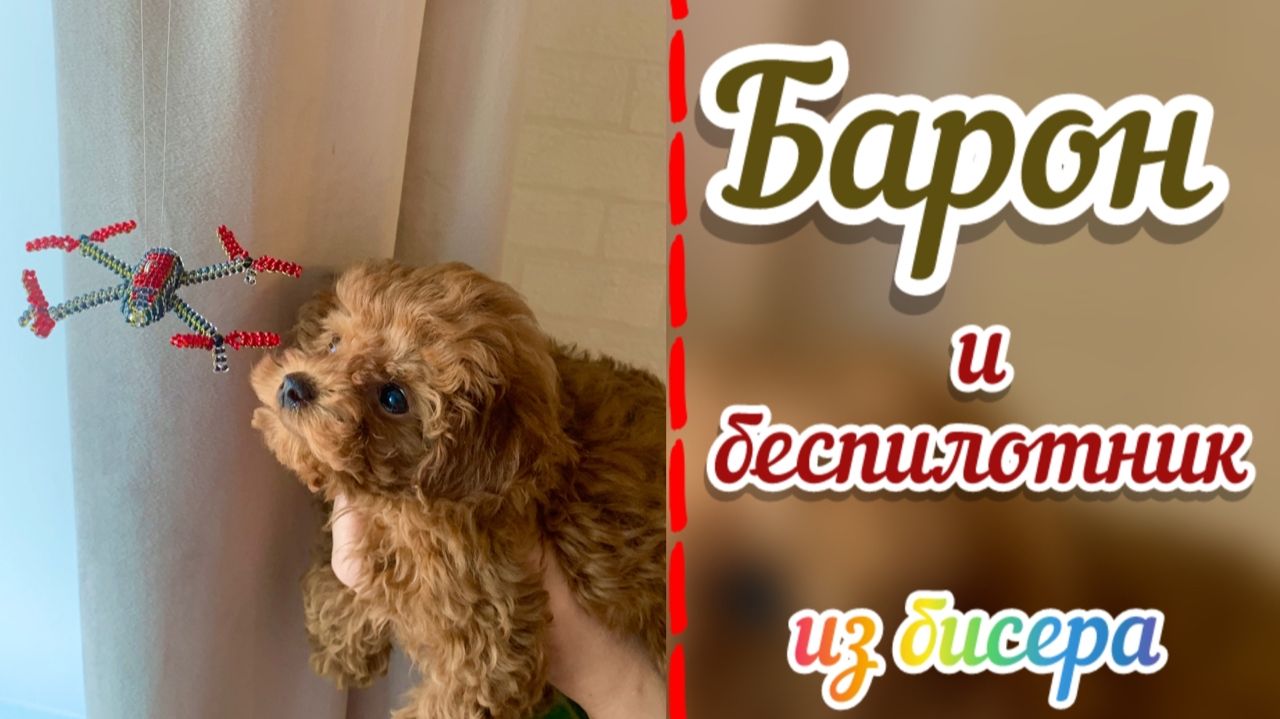 Барон и беспилотник / Сплела квадрокоптер для слежки за Бароном / Объёмное бисероплетение / смотреть онлайн