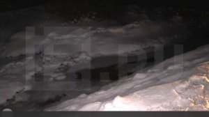 В Ленобласти найдено тело пропавшего мальчика со связанными ногами. Что известно