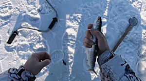 Открытие зимней рыбалки на омуля. Байкал 2026 г.