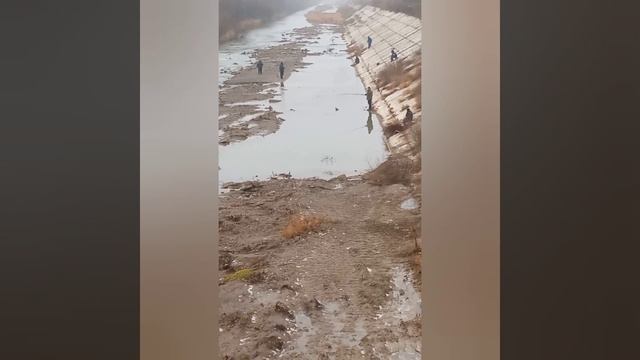 ЗИМНЯЯ РЫБАЛКА В ГОРНОЙ РЕКЕ