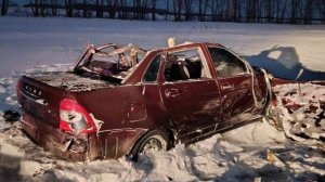 Два человека погибли и два пострадали в ДТП с лошадьми в Омской области