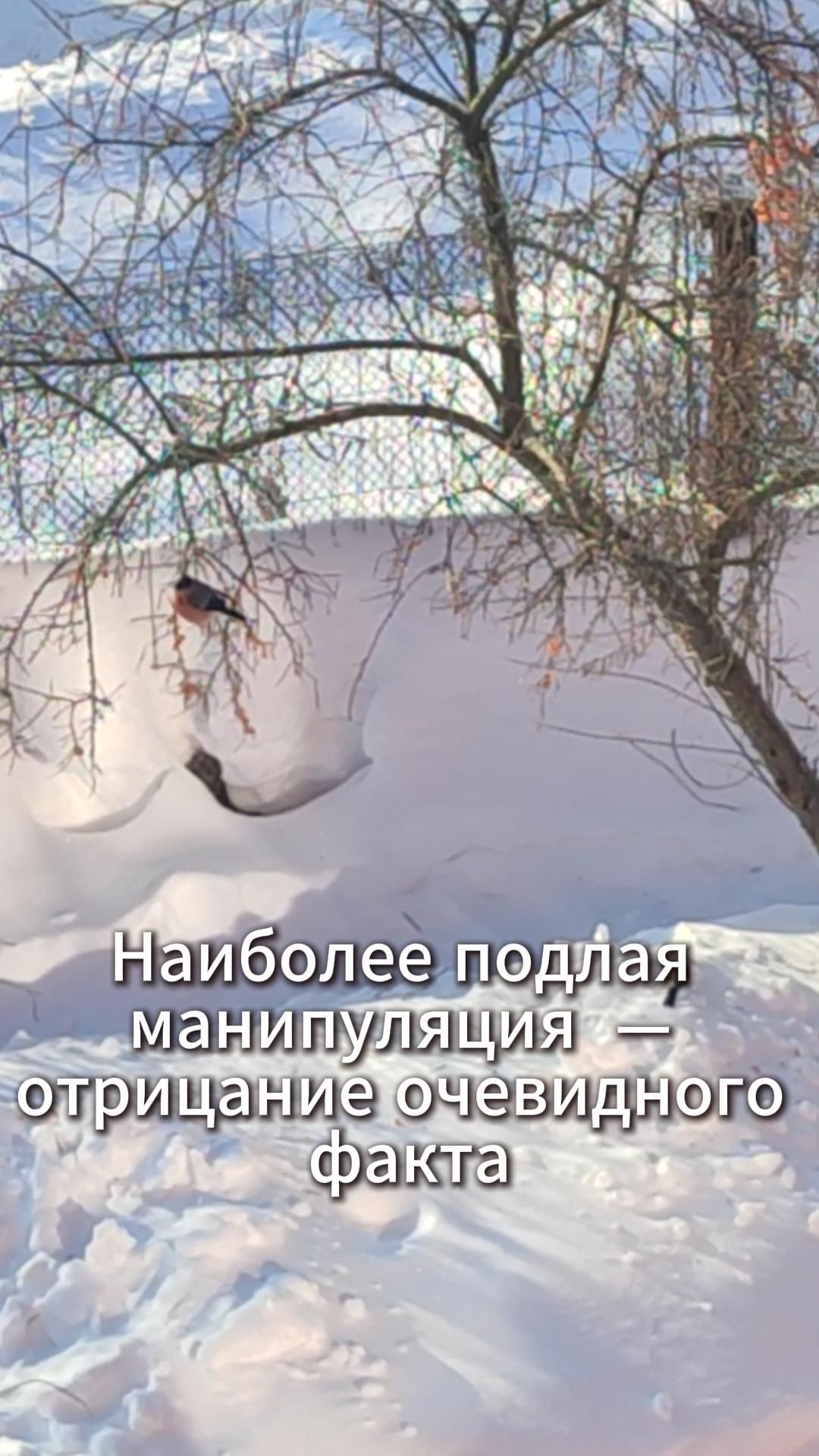 Наиболее подлая манипуляция — отрицание очевидного факта #психология #манипуляции #отношения #зима Наиболее подлая манипуляция — отрицание очевидного факта #психология #манипуляции #отношения #зима