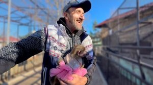 Мы с Люсей и Степашкой пошли кормить их родителей! ГАМАДРИЛЫ УЖЕ НАС ЖДУТ!