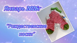 СП "Носки 12 месяцев", отчёт за январь