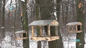 Любить и беречь: в Старом Осколе школьников учат, как правильно заботиться о птицах зимой
