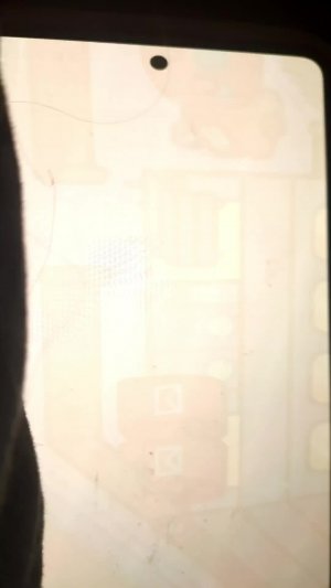 крампеты и жызнь