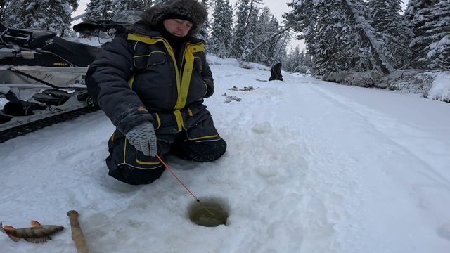 Треш рыбалка на Северной Сосьве. ГОРА ОКУНЕЙ. Январь 2026г. Ч.5