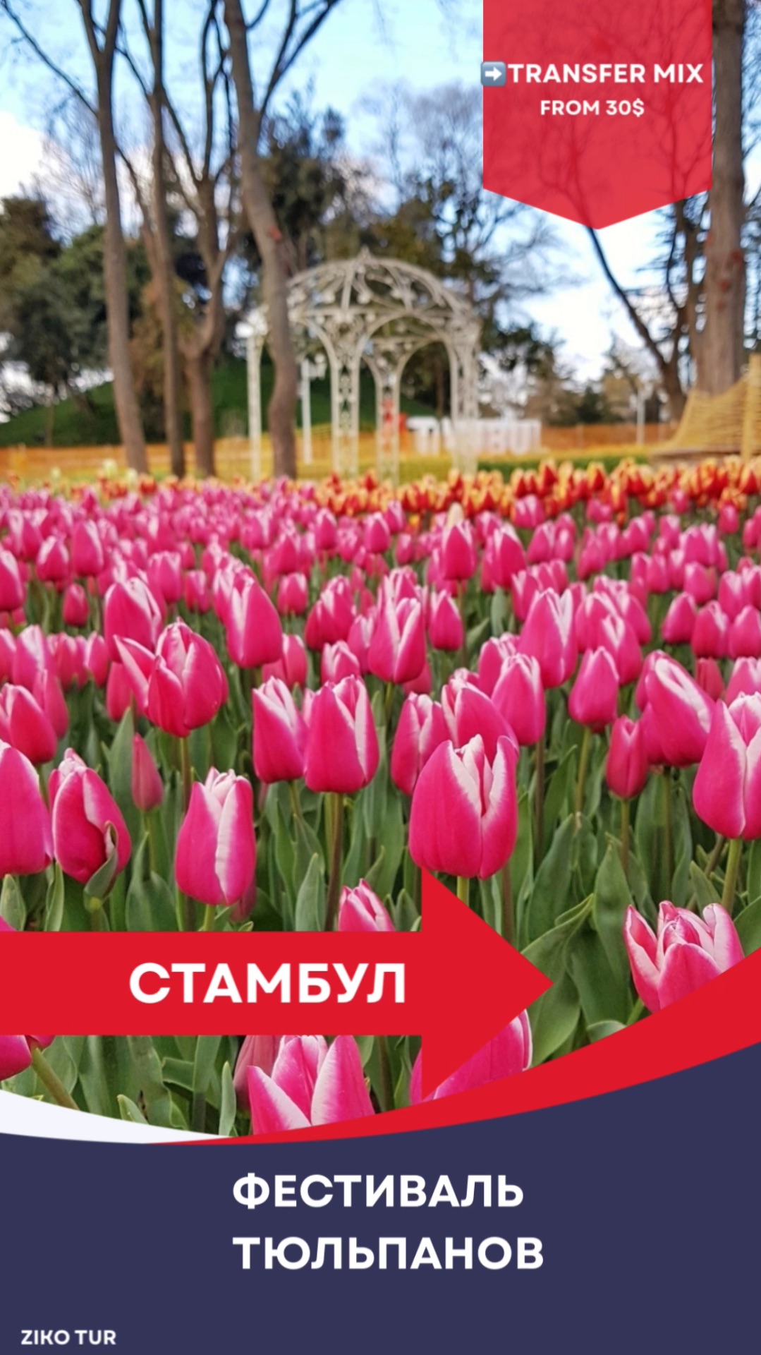 Стамбул лучшее время для посещения #стамбул #трансферстамбул