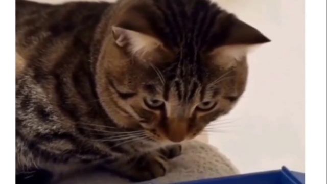 Вот я не понял )