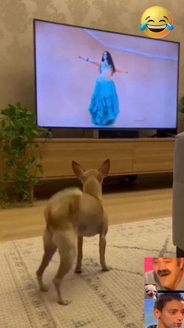 Как я вам? 🤣😍😍