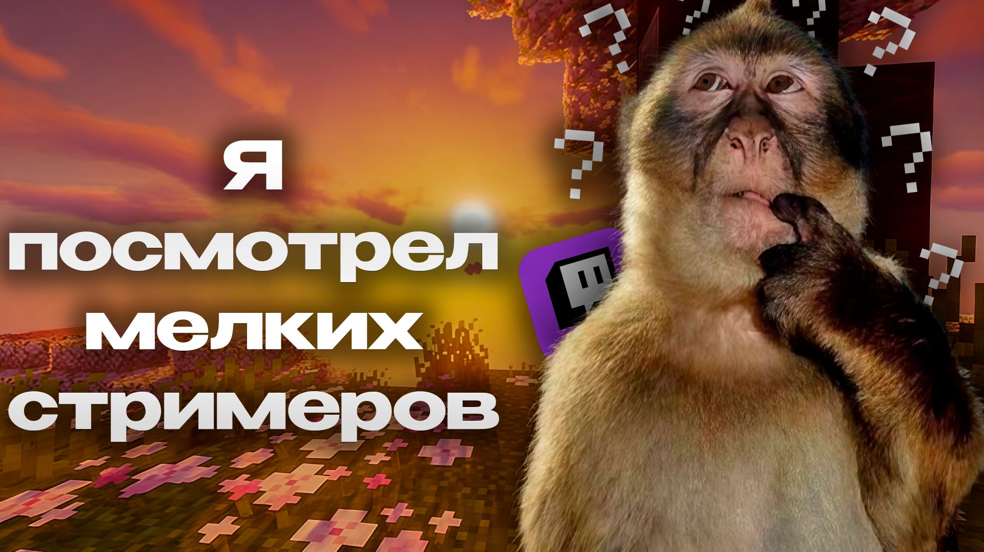 я посмотрел мелких стримеров и был приятно удивлён….