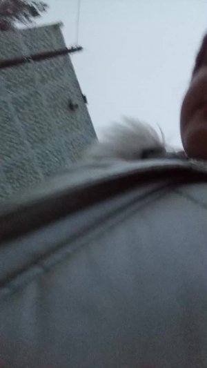 еду в школу