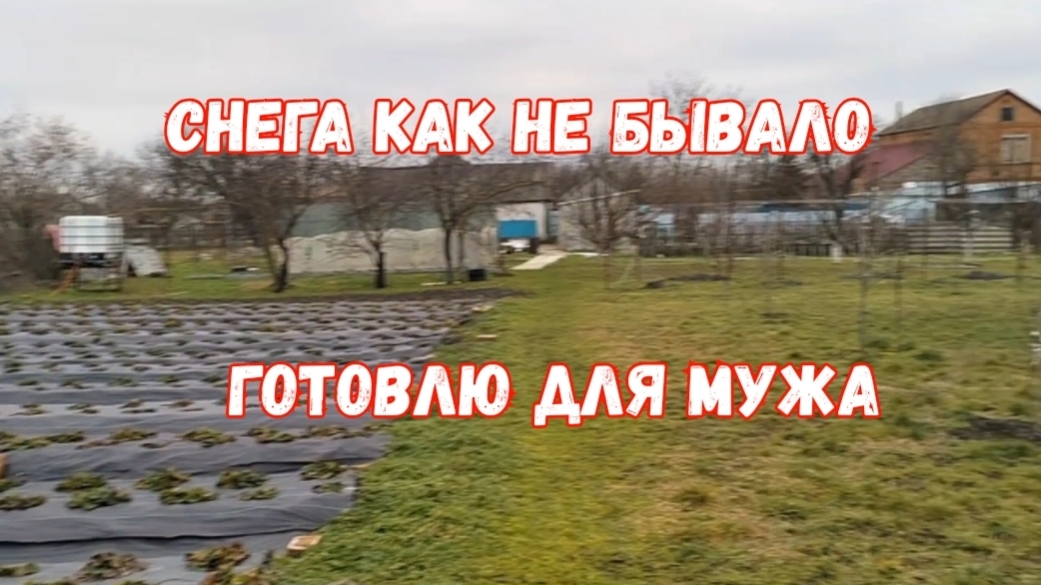 #177❄️1 февраля/Готовлю для мужа/Целый день на кухне/Розы дома/Снега как не бывало смотреть онлайн