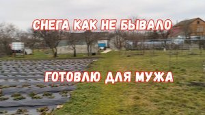 #177❄️1 февраля/Покрасилась/Готовлю для мужа/Целый день на кухне/Розы дома/Снега как не бывало