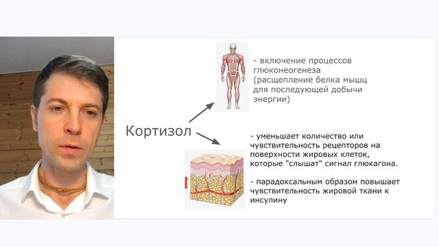 Сон и мышцы