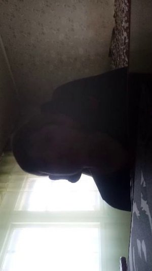 мои истории