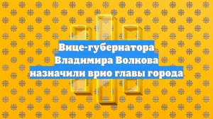 Вице-губернатора Владимира Волкова назначили врио главы города