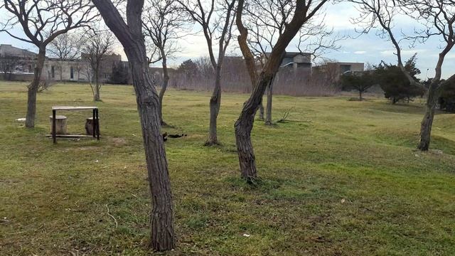 Евпатория 2026. Парк Мойнаки ждёт в этом году своего благоустройства, как это будет! смотреть онлайн