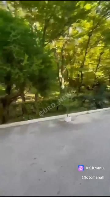 Бес з дубинкой нападает на людей