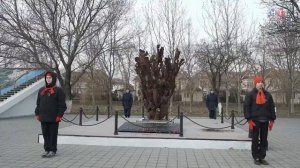 ДНЕВНИКИ БЕСКОЗЫРКИ