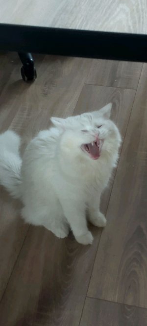 Пабг мобайл