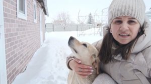 КУПИЛИ КВАРТИРУ В РОССИИ/ПЕРВЫЕ УГРОЗЫ/ЖИЗНЬ В ДЕРЕВНЕ/