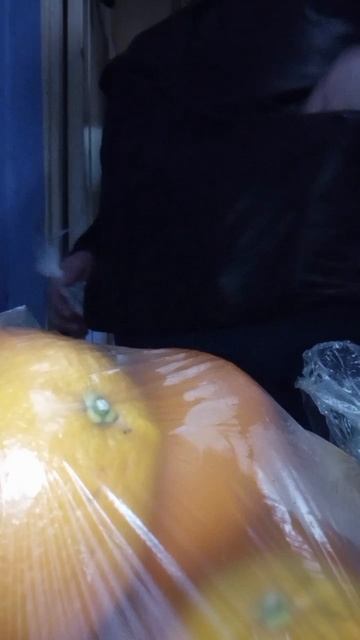 lv_0_20260203211640.mp4