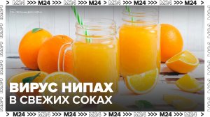 Москвичам на Бали рекомендовали отказаться от свежевыжатых соков из-за вируса Нипах - Москва 24