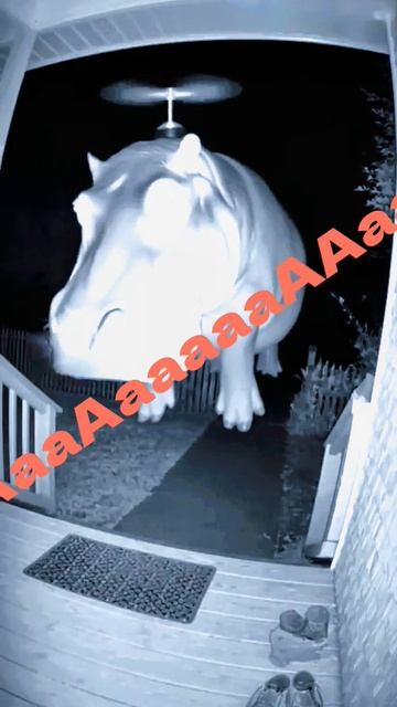 Бегемотик 2