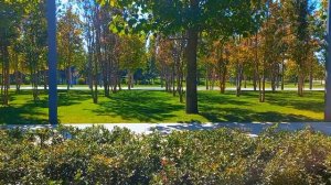 Краснодар парк Галицкого 2021