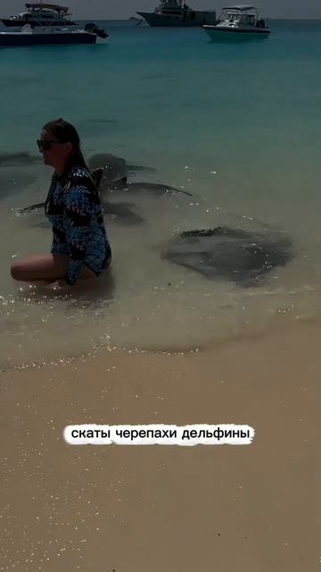 Сколько стоит поездка на Мальдивы со всеми экскурсиями — уже показала в видео.