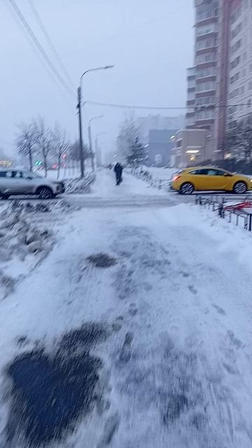 Сегодня в Питере снежно и ветрено. 2 февраля 2026.