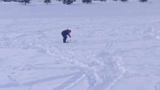 5793.mp4 смотреть онлайн