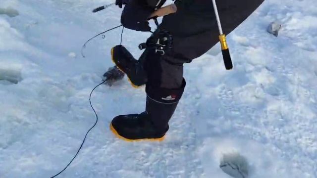 Поимка Форели.СЗ смотреть онлайн