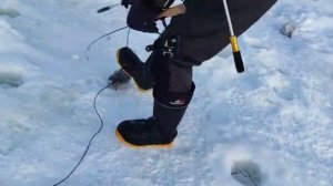 Поимка Форели.СЗ