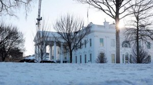 Белый дом подтвердил участие Уиткоффа и Кушнера в переговорах с РФ в Абу-Даби