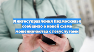 Мингосуправления Подмосковья сообщило о новой схеме мошенничества с госуслугами
