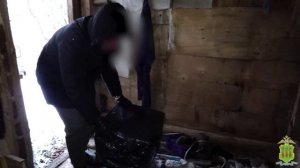 Свыше 75 кг изготовленной на продажу марихуаны изъяла пензенская полиция изъяла у наркоагронома