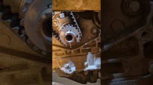 ГРМ для Пежо Тревеллер: продолжение "банкета"😉