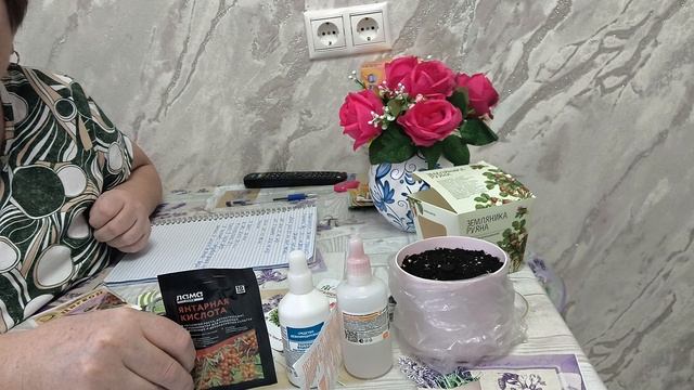 В чём замочить семена, для быстрого прорастания, для стимуляции и для дезинфекции. смотреть онлайн