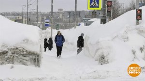 Снег идет! На рекорд... Доброе утро. Фрагмент выпуска от 03.02.2026