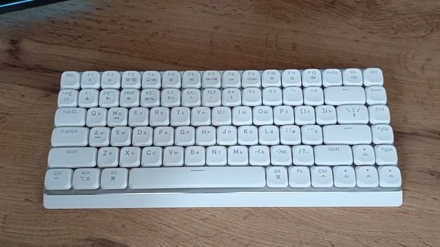 Vaiver Leaf V2 смотреть онлайн