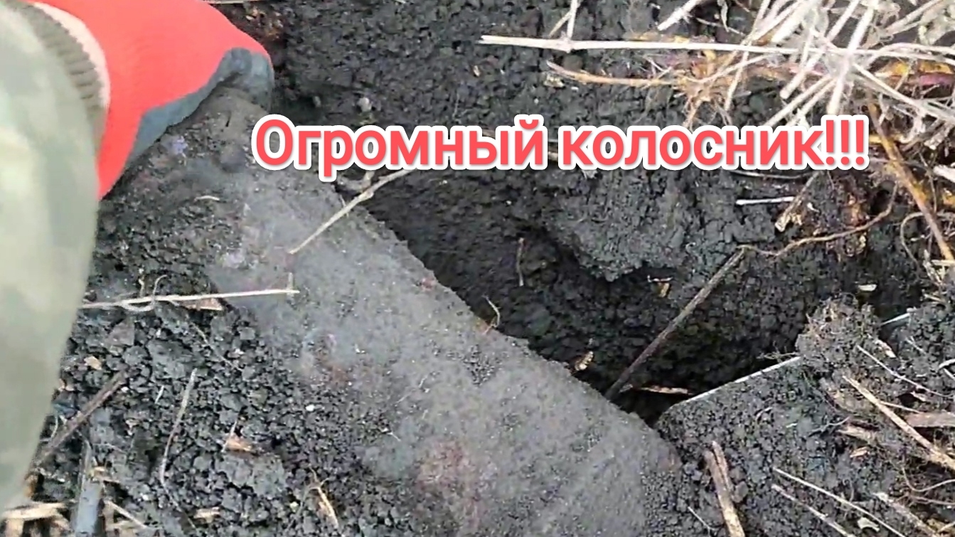 Металлокоп на урочище!!! Нашел огромный колосник!!! смотреть онлайн