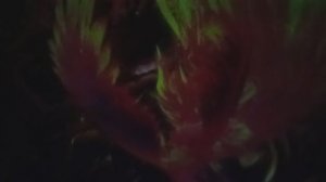 ТАЙЛАНД. ПАТТАЙЯ.PADO MEDIA ART SPACE. ИНТЕРАКТИВНЫЕ КОМНАТЫ