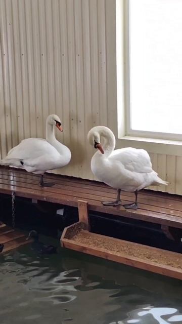 Попасть в Луну? Легко! Территория счастья — Ландшафтный парк Луна: где природа встречается с душой.