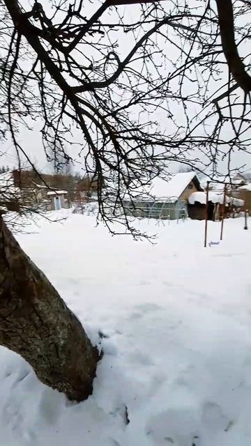 Продается отдельно стоящий дом на участке 7 соток в экологически чистом районе города