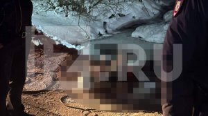 Найденный в водоеме Ленобласти девятилетний ребенок был из неблагополучной семьи