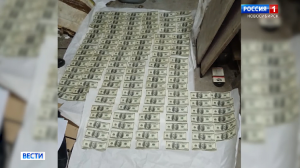 В Новосибирске осудили фальшивомонетчиков за подделку долларов США