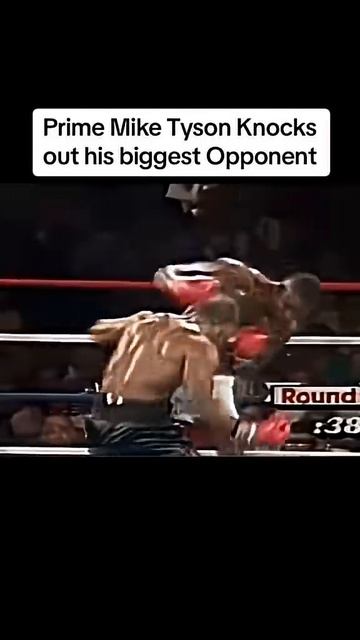 #boxing #knockout #miketyson